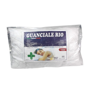 Guanciale Rio