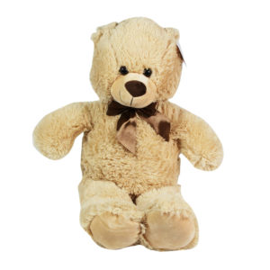Orsetto di peluche