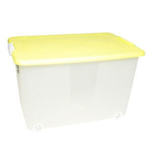 Box in plastica